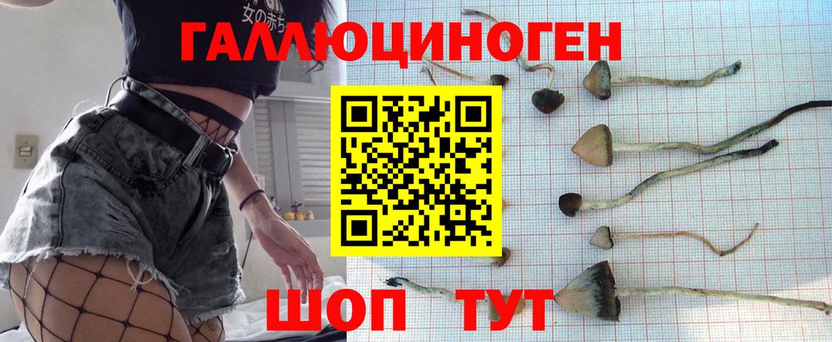 Псилоцибиновые грибы Cubensis  Вход с VPN  продажа наркотиков  Красноармейск 